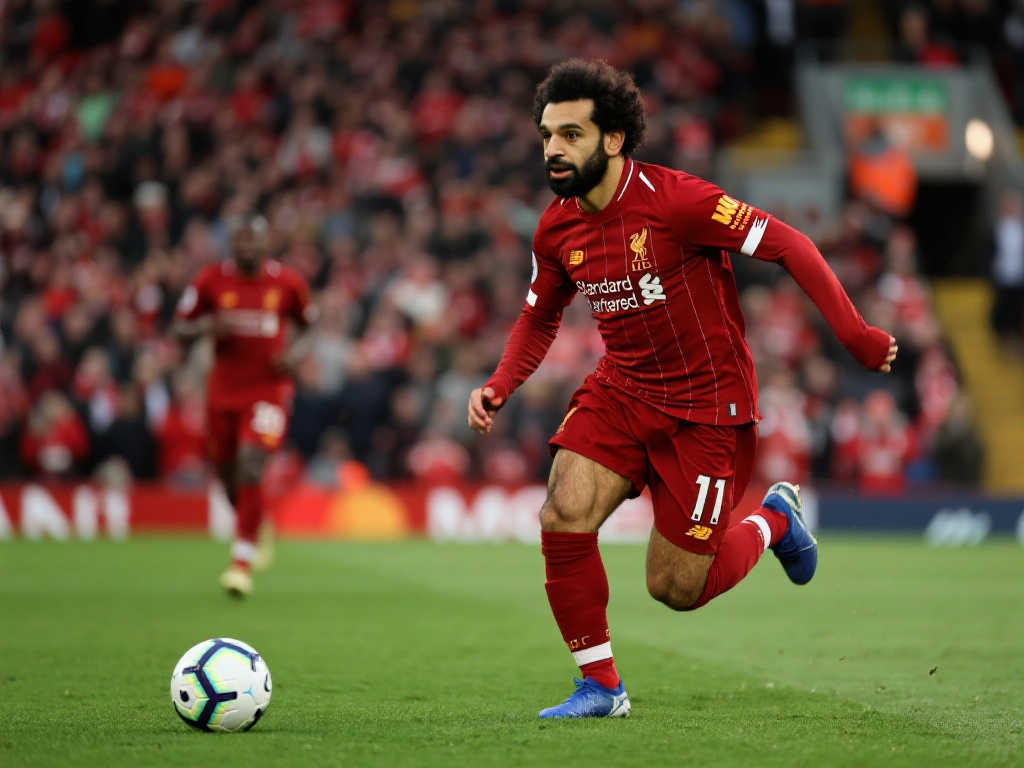 面临着自己 面临着自己